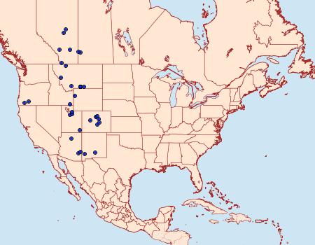 Distribution Data for Polia discalis