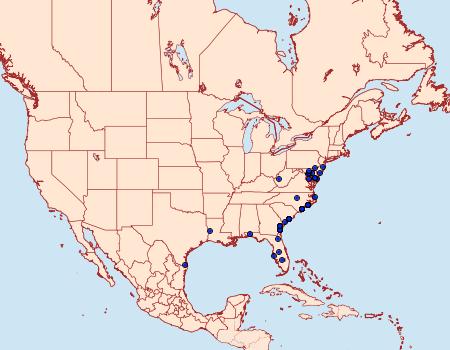 Distribution Data for Leucania linita