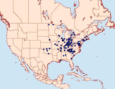 Distribution Data for Leucania linda