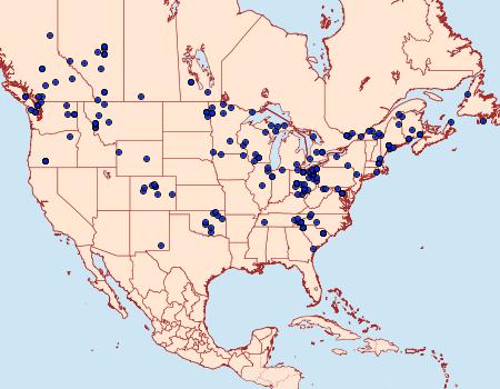 Distribution Data for Leucania multilinea