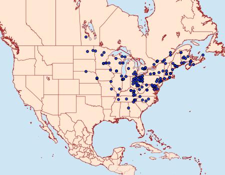 Distribution Data for Leucania pseudargyria