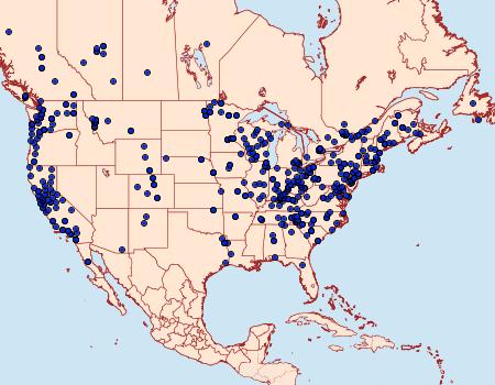 Distribution Data for Orthosia hibisci