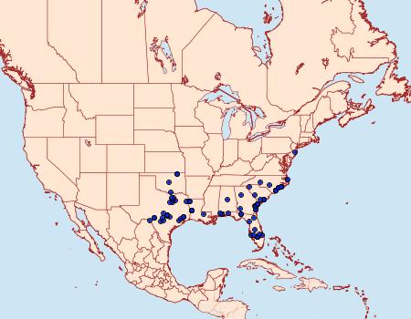 Distribution Data for Morrisonia mucens