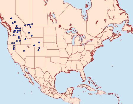 Distribution Data for Tholera americana