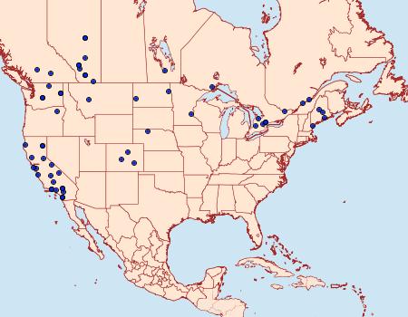 Distribution Data for Anhimella contrahens