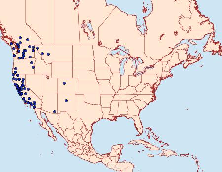 Distribution Data for Homorthodes communis