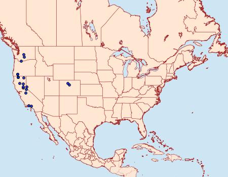 Distribution Data for Euxoa trifasciata