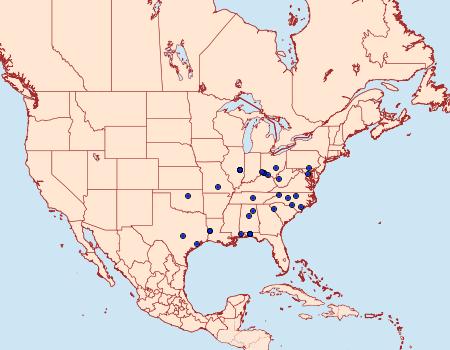 Distribution Data for Idioglossa miraculosa