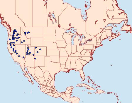 Distribution Data for Euxoa intermontana