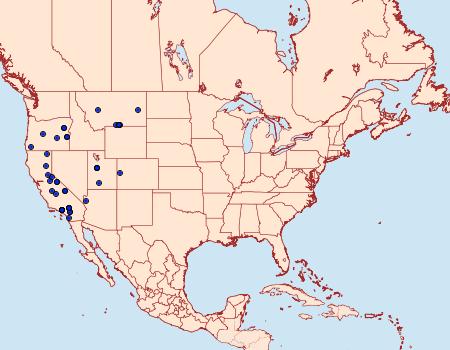 Distribution Data for Euxoa annulipes