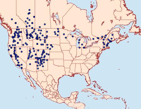 Distribution Data for Euxoa albipennis
