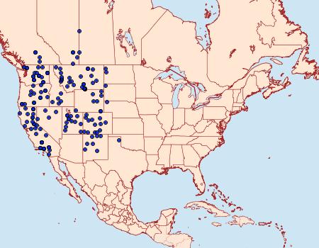 Distribution Data for Euxoa catenula