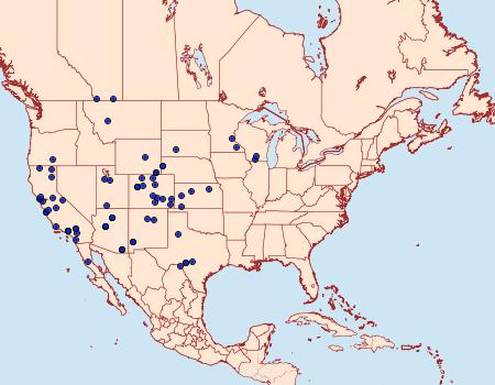 Distribution Data for Euxoa medialis