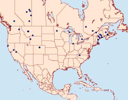 Distribution Data for Euxoa perpolita