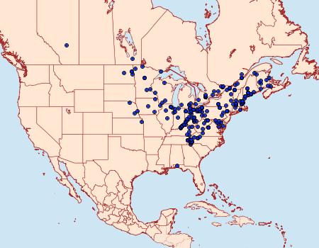 Distribution Data for Pseudohermonassa bicarnea