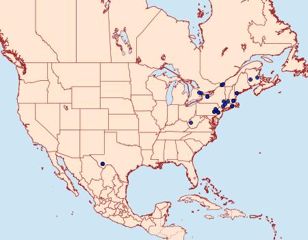 Distribution Data for Glyphidocera lithodoxa