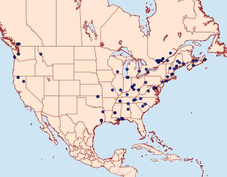Distribution Data for Coleophora cratipennella