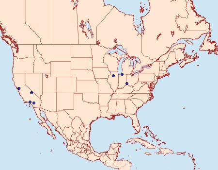 Distribution Data for Batrachedra illusor