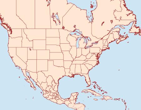 Distribution Data for Tischeria pulvella