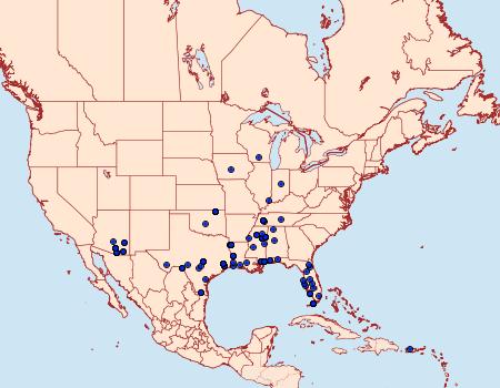 Distribution Data for Aristotelia corallina complex