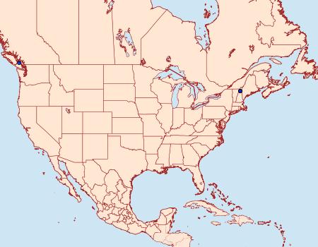 Distribution Data for Lampronia taylorella