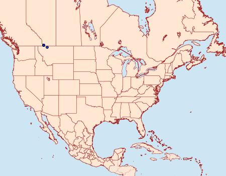 Distribution Data for Greya variata