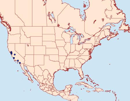 Distribution Data for Greya reticulatus