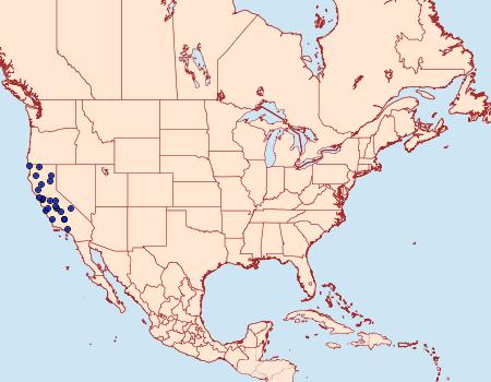 Distribution Data for Cauchas simpliciella