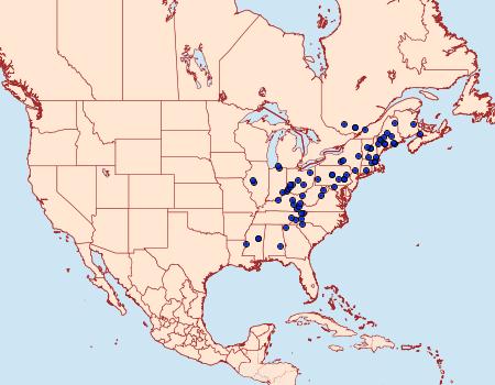 Distribution Data for Adela ridingsella