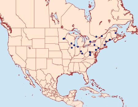 Distribution Data for Epermenia albapunctella