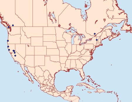 Distribution Data for Glyphipterix sistes