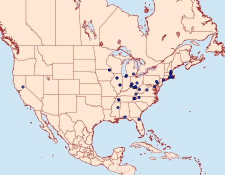 Distribution Data for Acrolepiopsis incertella