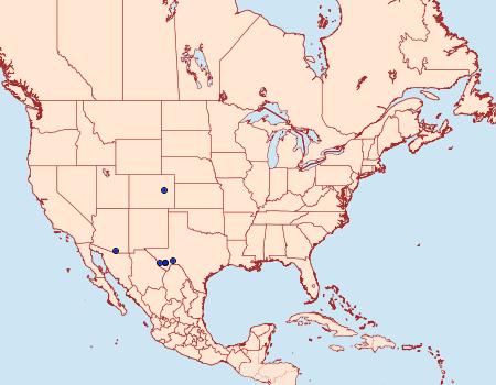 Distribution Data for Zenodoxus mexicanus