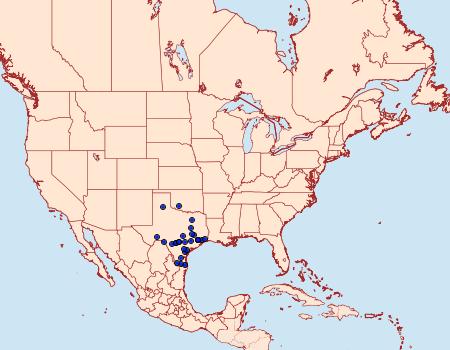 Distribution Data for Vitacea admirandus