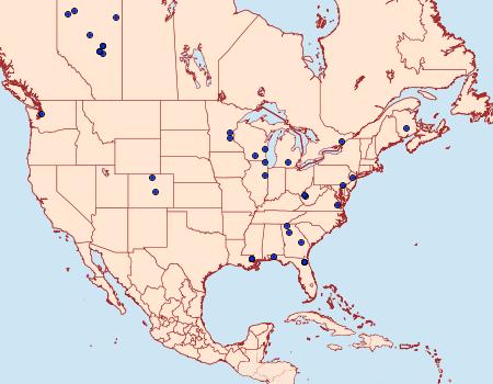 Distribution Data for Synanthedon fatifera