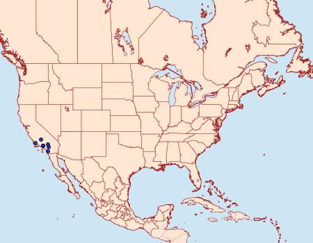 Distribution Data for Penstemonia hennei