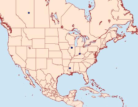 Distribution Data for Endothenia infuscata