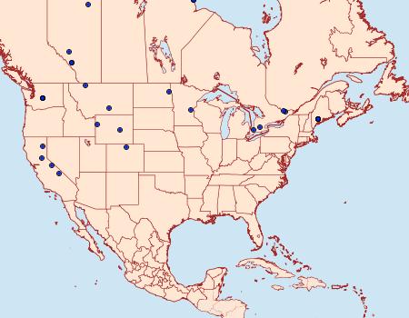 Distribution Data for Apotomis infida