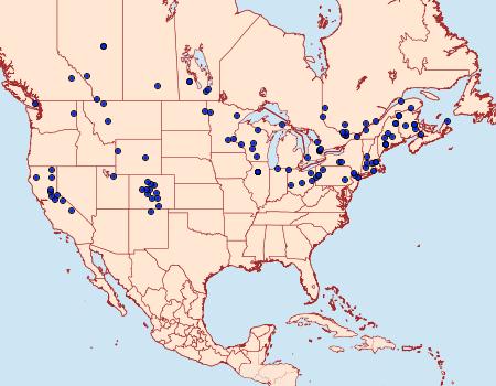 Distribution Data for Pseudosciaphila duplex