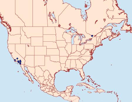 Distribution Data for Pelochrista sandiego