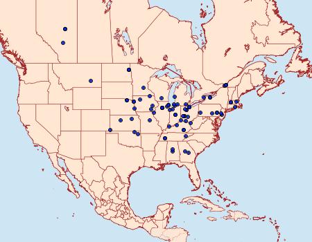 Distribution Data for Pelochrista vagana