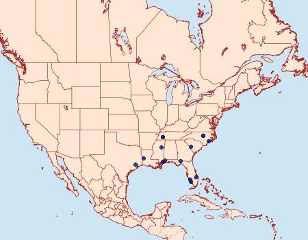 Distribution Data for Xylesthia n. sp.