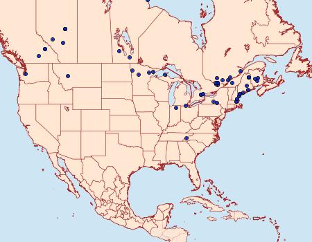 Distribution Data for Gypsonoma fasciolana