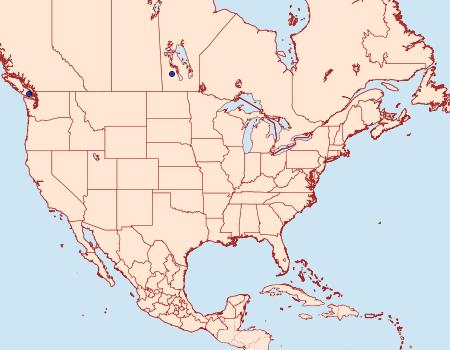 Distribution Data for Zeiraphera vancouverana