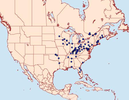 Distribution Data for Pseudexentera cressoniana