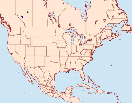 Distribution Data for Epinotia sperana