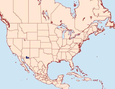 Distribution Data for Acrolophus klotsi