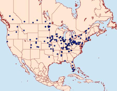 Distribution Data for Xenotemna pallorana
