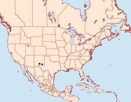 Distribution Data for Cochylis yinyangana