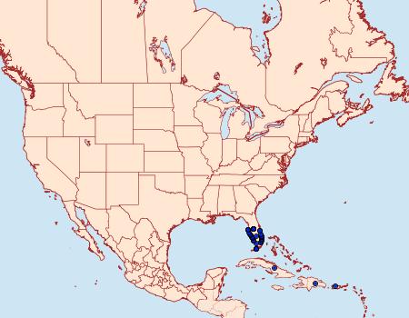 Distribution Data for Phocides batabano